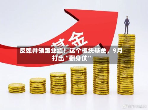 反弹并领跑业绩！这个板块基金，9月打出“翻身仗”