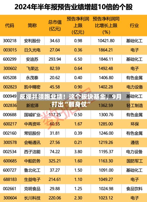反弹并领跑业绩！这个板块基金，9月打出“翻身仗”-第2张图片
