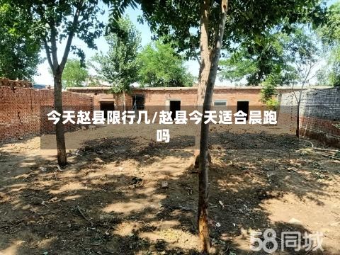今天赵县限行几/赵县今天适合晨跑吗-第2张图片