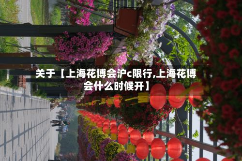 关于【上海花博会沪c限行,上海花博会什么时候开】-第2张图片