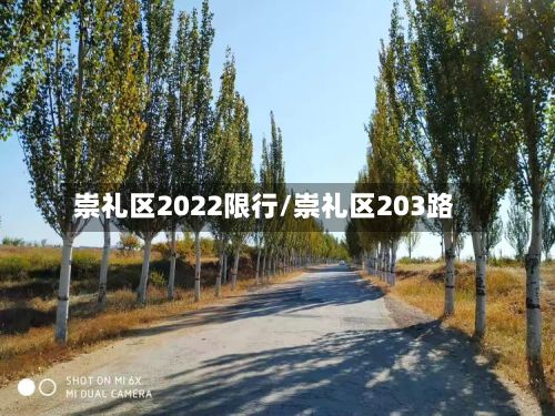 崇礼区2022限行/崇礼区203路