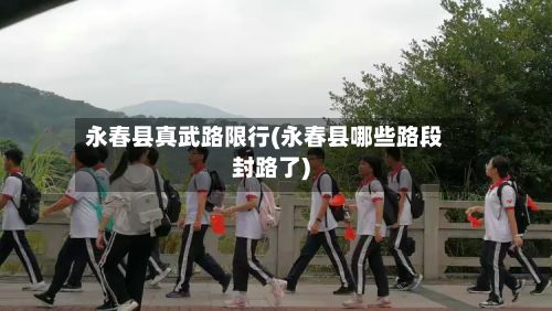 永春县真武路限行(永春县哪些路段封路了)