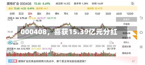 000408，喜获15.39亿元分红-第2张图片