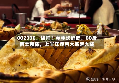 002338	，换帅！董事长辞职，80后博士接棒，上半年净利大增超九成-第2张图片