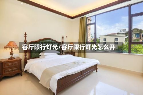 客厅限行灯光/客厅限行灯光怎么开