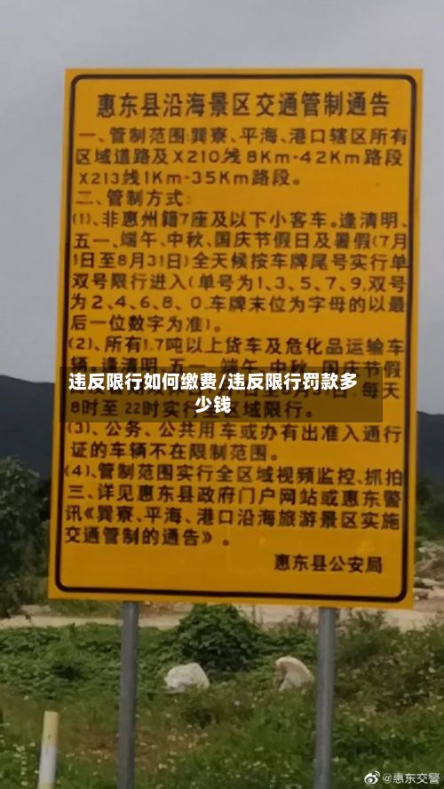 违反限行如何缴费/违反限行罚款多少钱