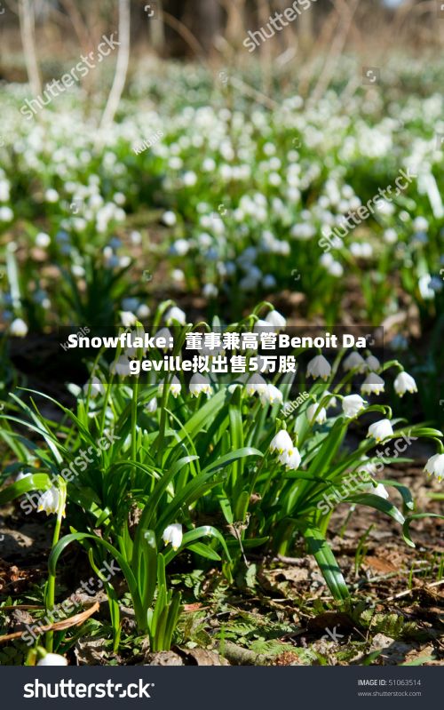 Snowflake:董事兼高管Benoit Dageville拟出售5万股-第3张图片