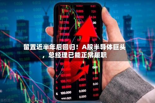 留置近半年后回归！A股半导体巨头，总经理已能正常履职