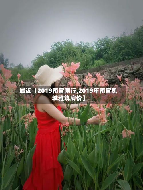 最近【2019南宫限行,2019年南宫凤城雅筑房价】