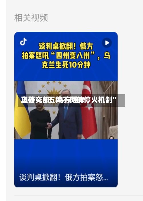 乌外交部：乌方近来正研究“五种不同的停火机制	”-第3张图片