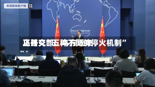 乌外交部：乌方近来正研究“五种不同的停火机制”-第2张图片