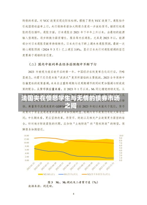 法国夹在愤怒学生与无情的债券市场之间-第3张图片