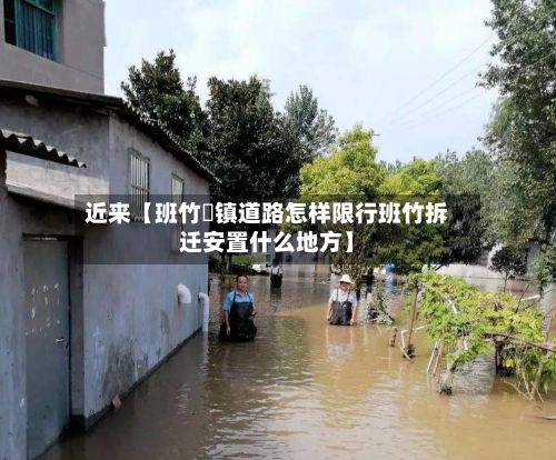 近来【班竹垱镇道路怎样限行班竹拆迁安置什么地方】-第2张图片