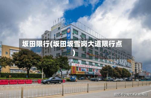 坂田限行(坂田坂雪岗大道限行点)-第2张图片