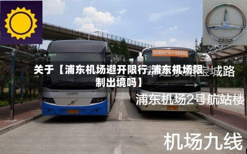 关于【浦东机场避开限行,浦东机场限制出境吗】-第2张图片
