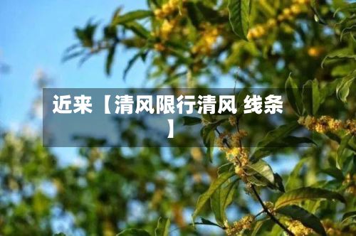 近来【清风限行清风 线条】-第2张图片