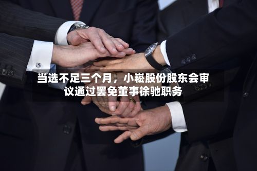 当选不足三个月，小崧股份股东会审议通过罢免董事徐驰职务-第3张图片