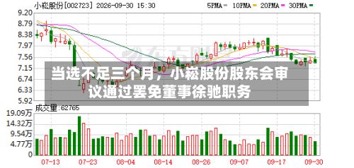 当选不足三个月，小崧股份股东会审议通过罢免董事徐驰职务-第2张图片