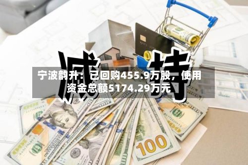 宁波韵升：已回购455.9万股，使用资金总额5174.29万元-第2张图片