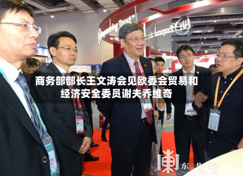 商务部部长王文涛会见欧委会贸易和经济安全委员谢夫乔维奇