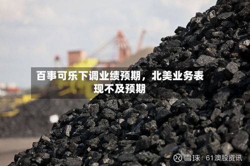 百事可乐下调业绩预期，北美业务表现不及预期-第3张图片