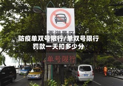 防疫单双号限行/单双号限行罚款一天扣多少分-第2张图片