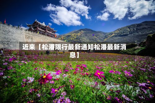 近来【松潘限行最新通知松潘最新消息】-第2张图片