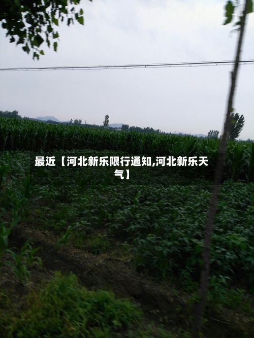 最近【河北新乐限行通知,河北新乐天气】-第3张图片
