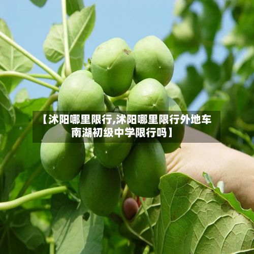 【沭阳哪里限行,沭阳哪里限行外地车南湖初级中学限行吗】-第2张图片