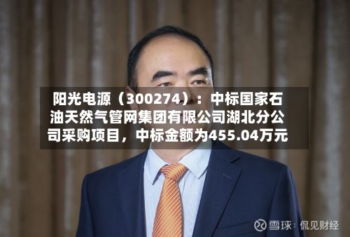 阳光电源（300274）：中标国家石油天然气管网集团有限公司湖北分公司采购项目，中标金额为455.04万元-第3张图片