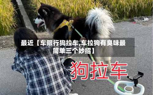 最近【车限行狗拉车,车拉狗有臭味最简单三个妙招】-第2张图片