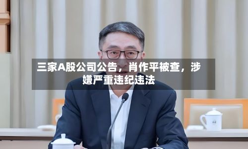 三家A股公司公告，肖作平被查	，涉嫌严重违纪违法-第2张图片