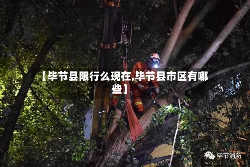 【毕节县限行么现在,毕节县市区有哪些】-第2张图片