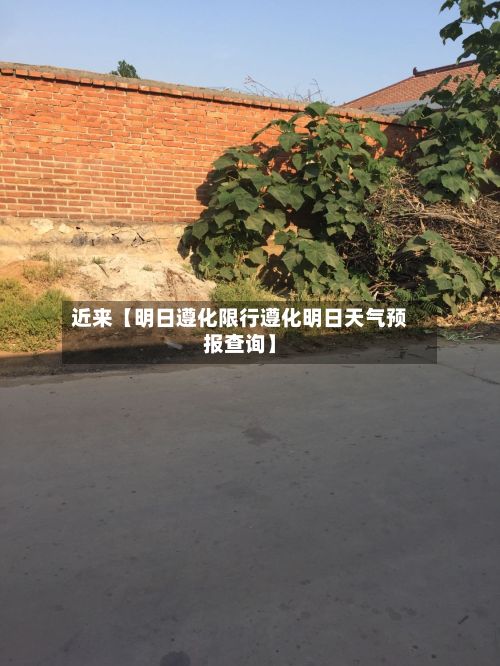 近来【明日遵化限行遵化明日天气预报查询】