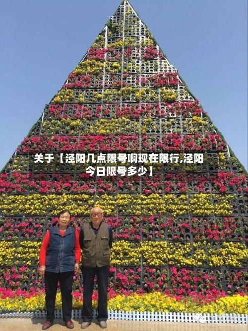 关于【泾阳几点限号啊现在限行,泾阳今日限号多少】-第3张图片