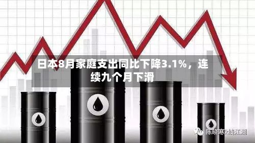 日本8月家庭支出同比下降3.1%，连续九个月下滑
