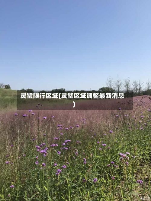 灵璧限行区域(灵璧区域调整最新消息)