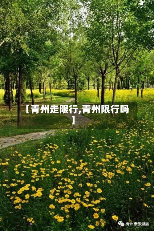 【青州走限行,青州限行吗】-第2张图片