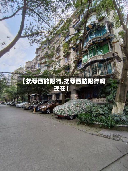 【抚琴西路限行,抚琴西路限行吗现在】