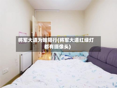 将军大道为啥限行(将军大道红绿灯都有摄像头)-第2张图片