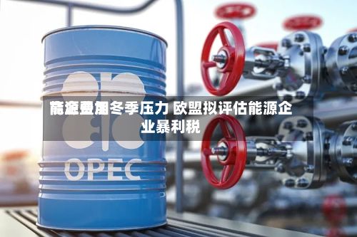 能源费用
高企叠加冬季压力 欧盟拟评估能源企业暴利税-第2张图片