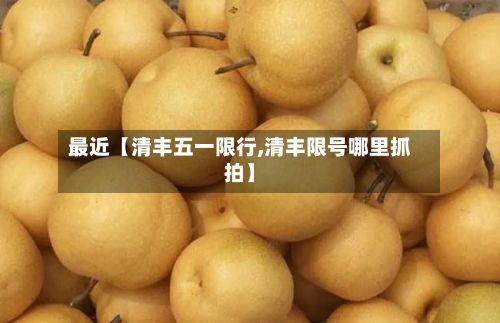 最近【清丰五一限行,清丰限号哪里抓拍】