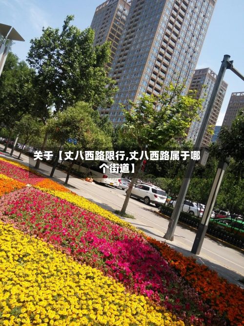 关于【丈八西路限行,丈八西路属于哪个街道】