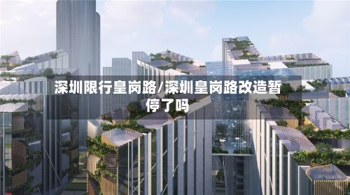 深圳限行皇岗路/深圳皇岗路改造暂停了吗-第2张图片