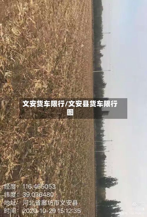 文安货车限行/文安县货车限行图