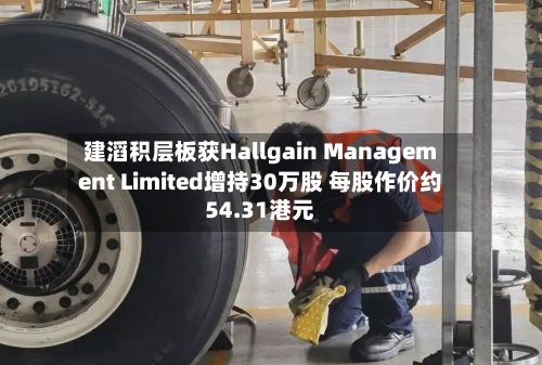 建滔积层板获Hallgain Management Limited增持30万股 每股作价约54.31港元-第2张图片