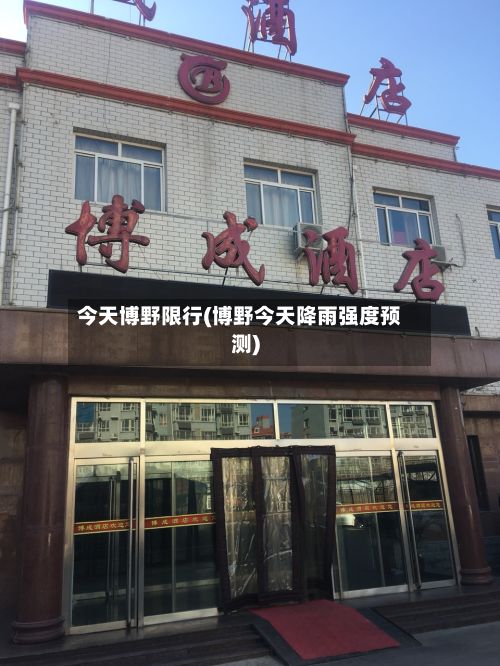 今天博野限行(博野今天降雨强度预测)