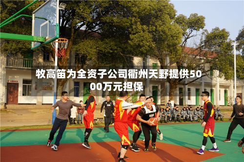 牧高笛为全资子公司衢州天野提供5000万元担保-第2张图片