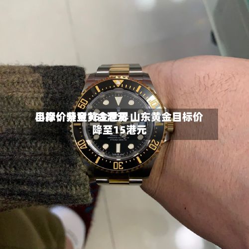 小摩:紫金黄金世界
目标价升至165港元 山东黄金目标价降至15港元-第2张图片