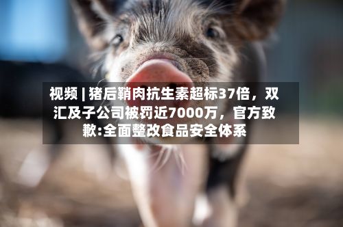 视频 | 猪后鞘肉抗生素超标37倍，双汇及子公司被罚近7000万，官方致歉:全面整改食品安全体系